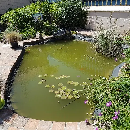 Le Clos D'arry Berck